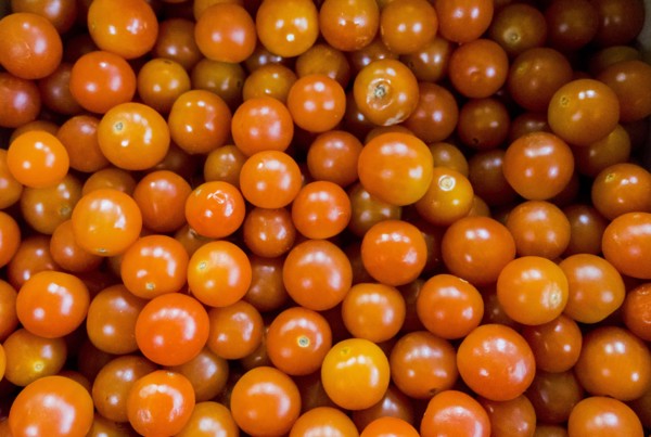 Pile of tomatoes