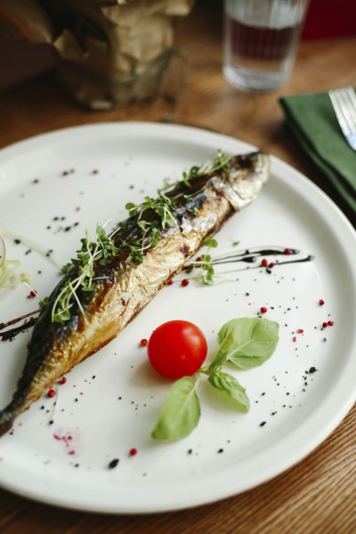 Gourmet fish on plate