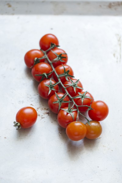 Tomatoes on vine