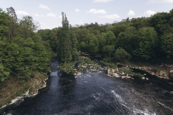 Trees near river