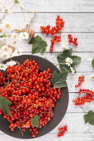 Red berries and leaves on table with flowers