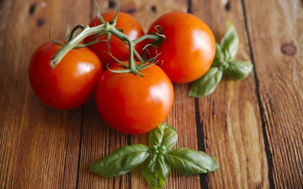 Tomatoes on vine with basil leaf