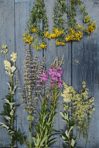Multicolor flowers laying on wooden table