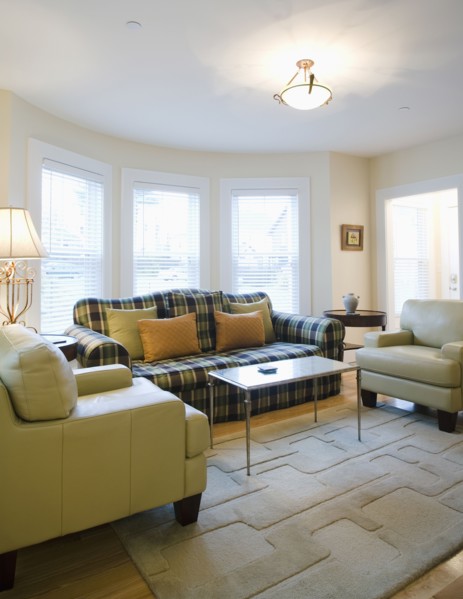 Living room with plaid sofa
