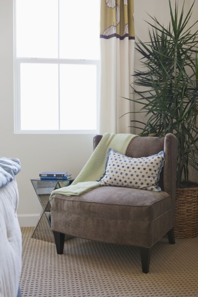 Armchair with house plant by window at home