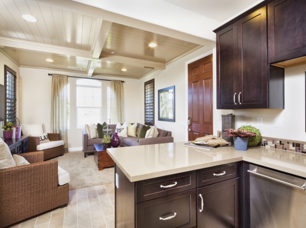 Open plan of domestic kitchen and living room
