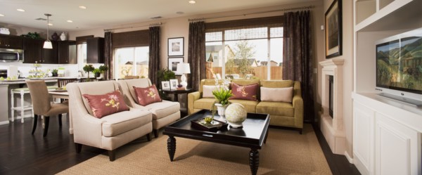 Living room in traditional home