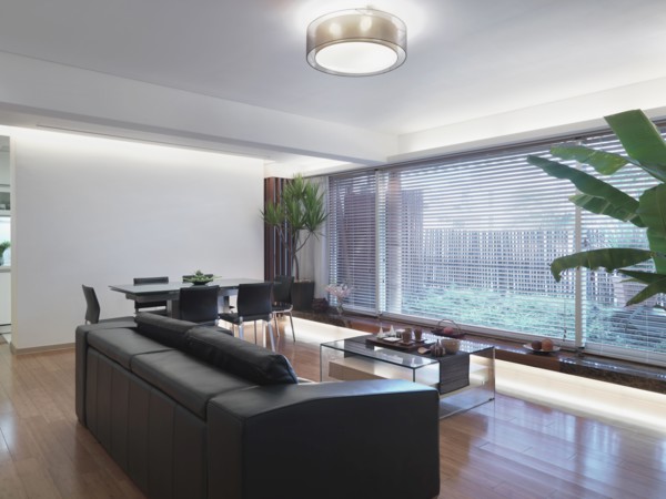 Modern dining room and living room