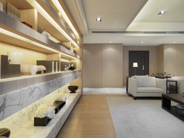 Modern bookcases in living room