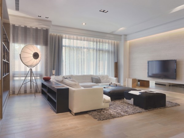 Modern living room with shag carpet
