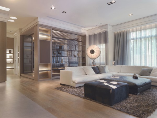 Living room with shag carpet in modern home