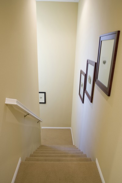 Photographs in Stairwell