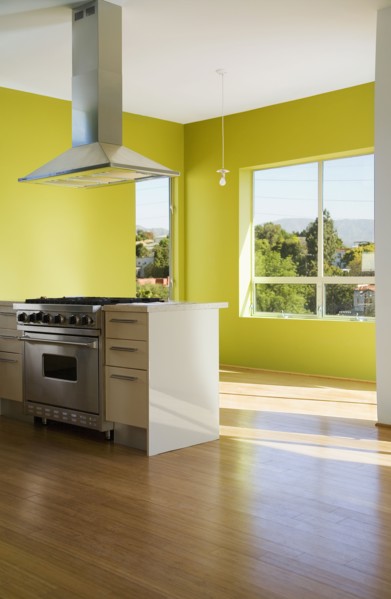 Modern Stainless Steel Kitchen with Green Walls