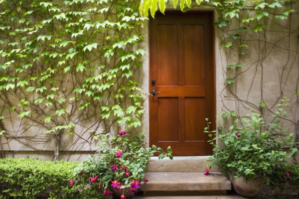 Detail of wooden door next to wall with ivy.