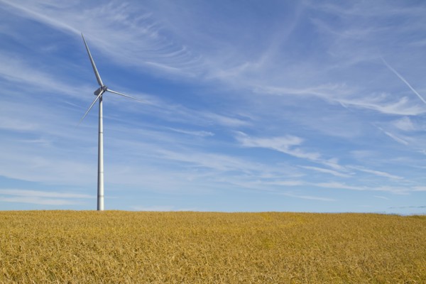 Wind turbine in rural landscape