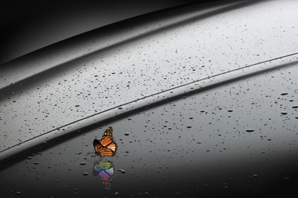 Orange butterfly with rainbow reflection