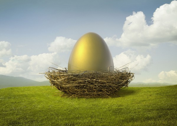 Golden egg in bird's nest