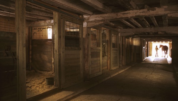 Horse barn