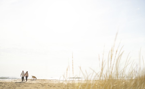 Caucasian couple walking dog on beach