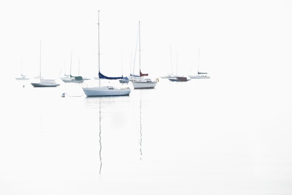 Boat masts reflecting in water