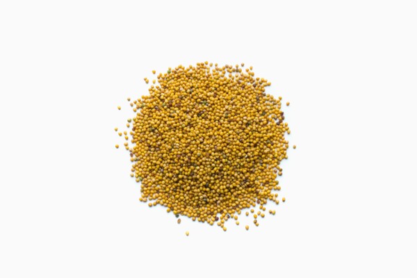 Pile of mustard seeds in shape of a circle
