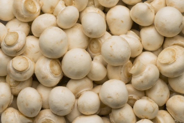 Pile of white mushrooms