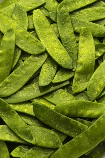 Pile of wet green peas in pods