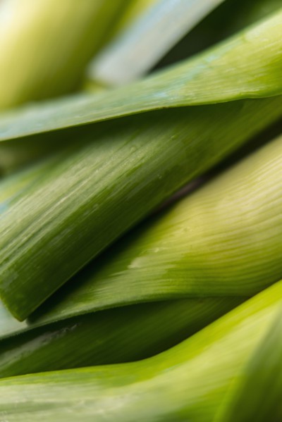 Stalks of green vegetable