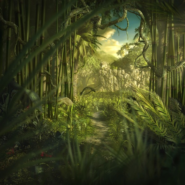 Lush green jungle