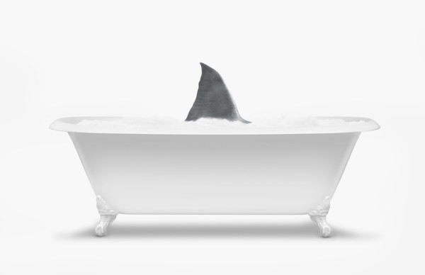 Fin of shark swimming in bathtub