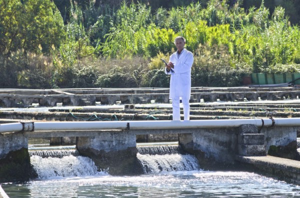 Hispanic man working in fish hatchery