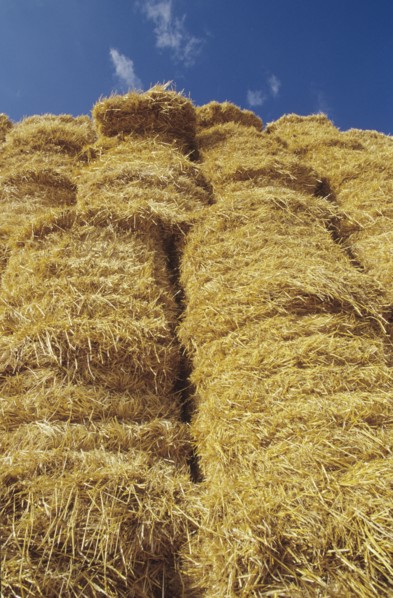 Stack of Bales of Hay