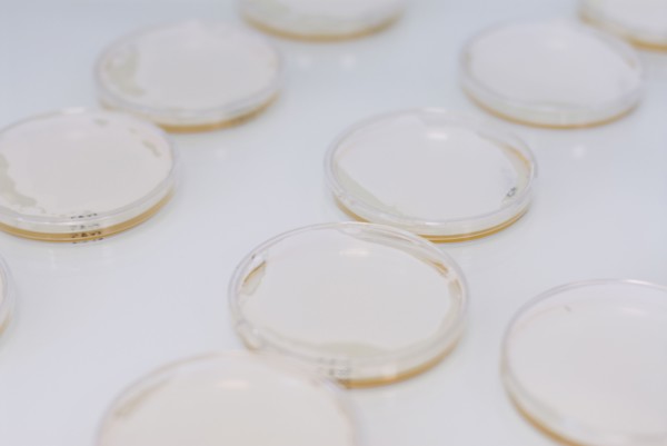 Petri dishes