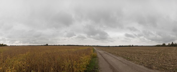 Dirt path through fields in rural landscape