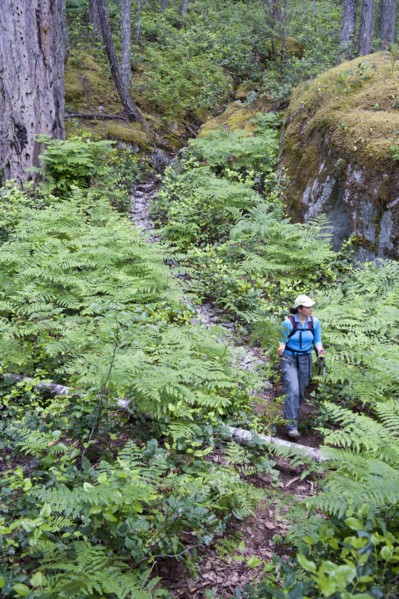 Hispanic woman hiking in woods