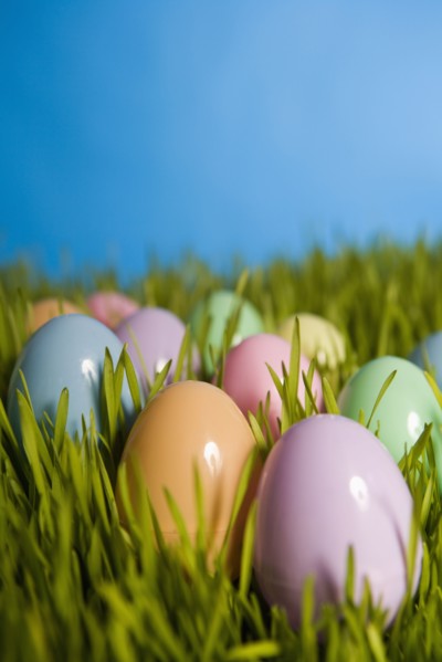 Group of colored Easter eggs in grass