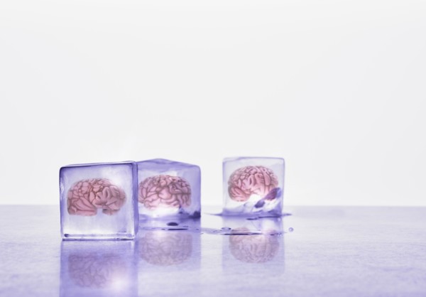 Brains frozen in ice cubes