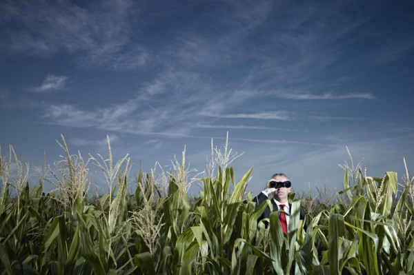 Caucasian businessman using binoculars in corn field