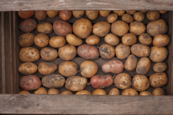 Potatoes in a wooden box