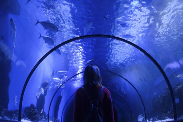 Caucasian woman admiring fish in aquarium