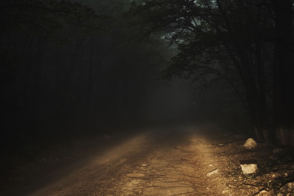 Dirt road in forest