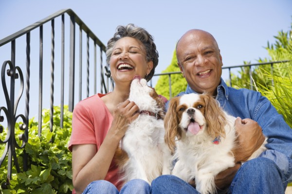 Senior African American couple with dogs