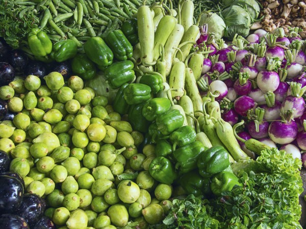 Fresh vegetables for sale in market
