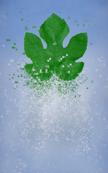 Pixelated leaf dissolving in sky