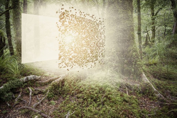 Digital cube exploding in forest