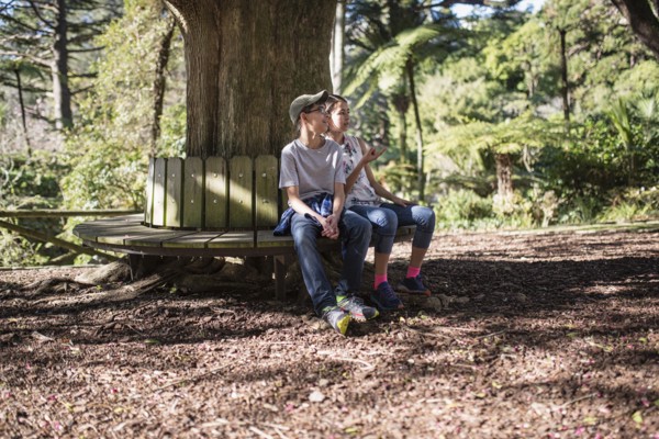 Mixed Race brother and sister sitting on bench at tree