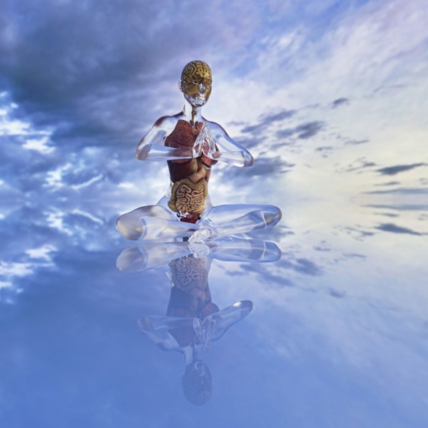 Organs of transparent woman meditating in cloudy sky