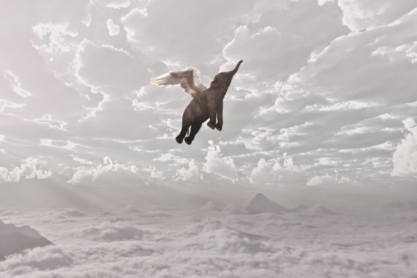 Elephant flying in clouds