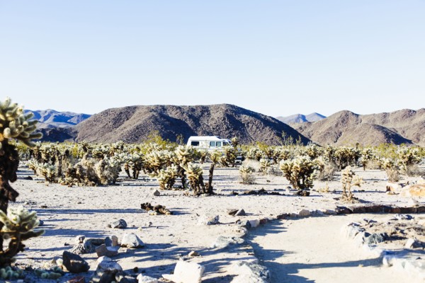 Path through field in desert landscape