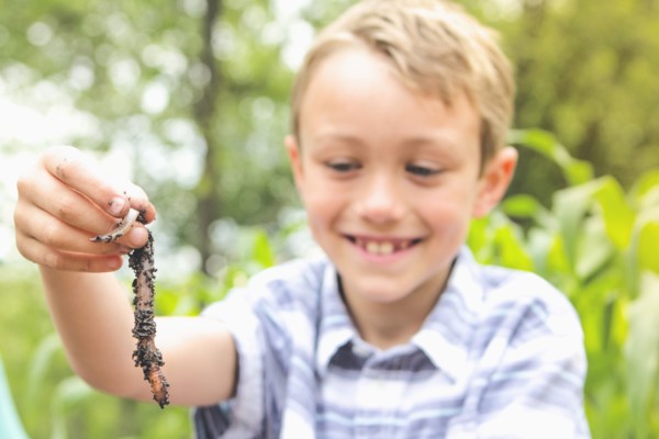 Caucasian boy examining worm